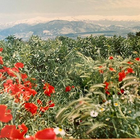 Encantador Cortijo La Emiliana A 5 Minutos Del Centro Churriana de la Vega Kültér fotó