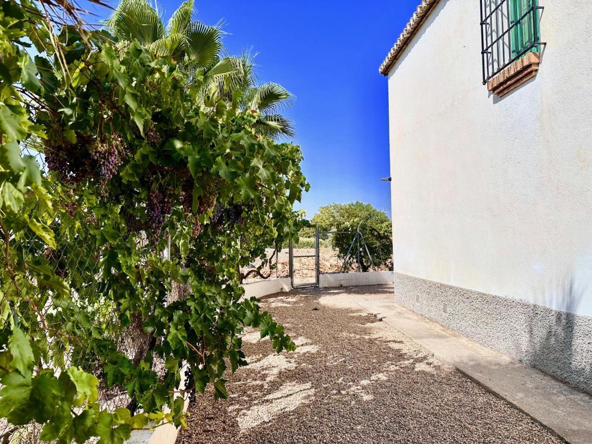 Encantador Cortijo La Emiliana A 5 Minutos Del Centro Churriana de la Vega Kültér fotó